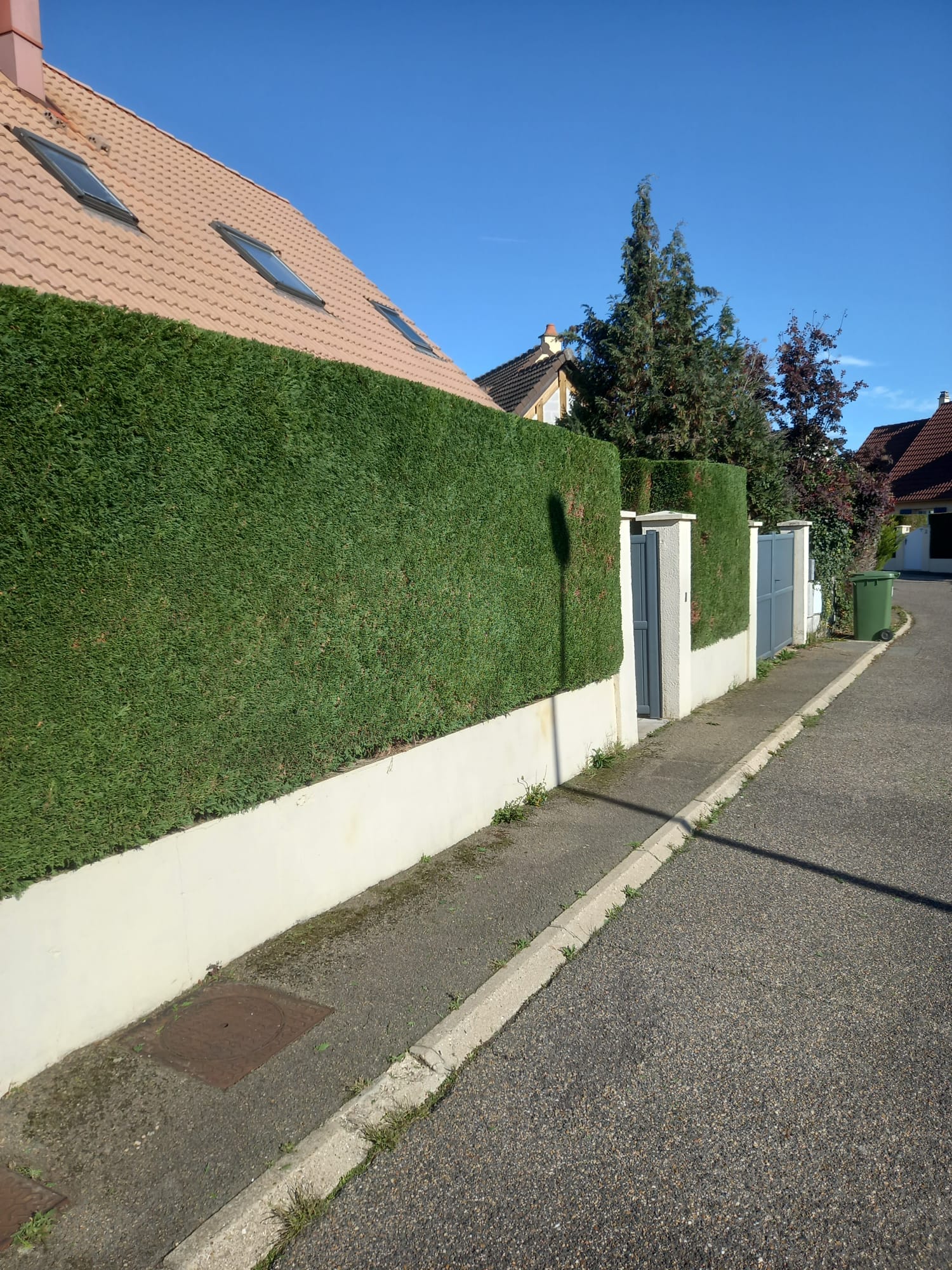 Élagage et entretien professionnel des arbres