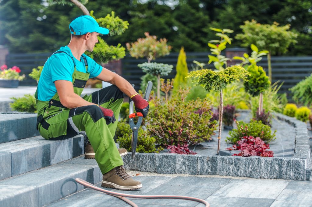echniques et bonnes pratiques pour un élagage efficace à Saint-Rémy-sur-Avre