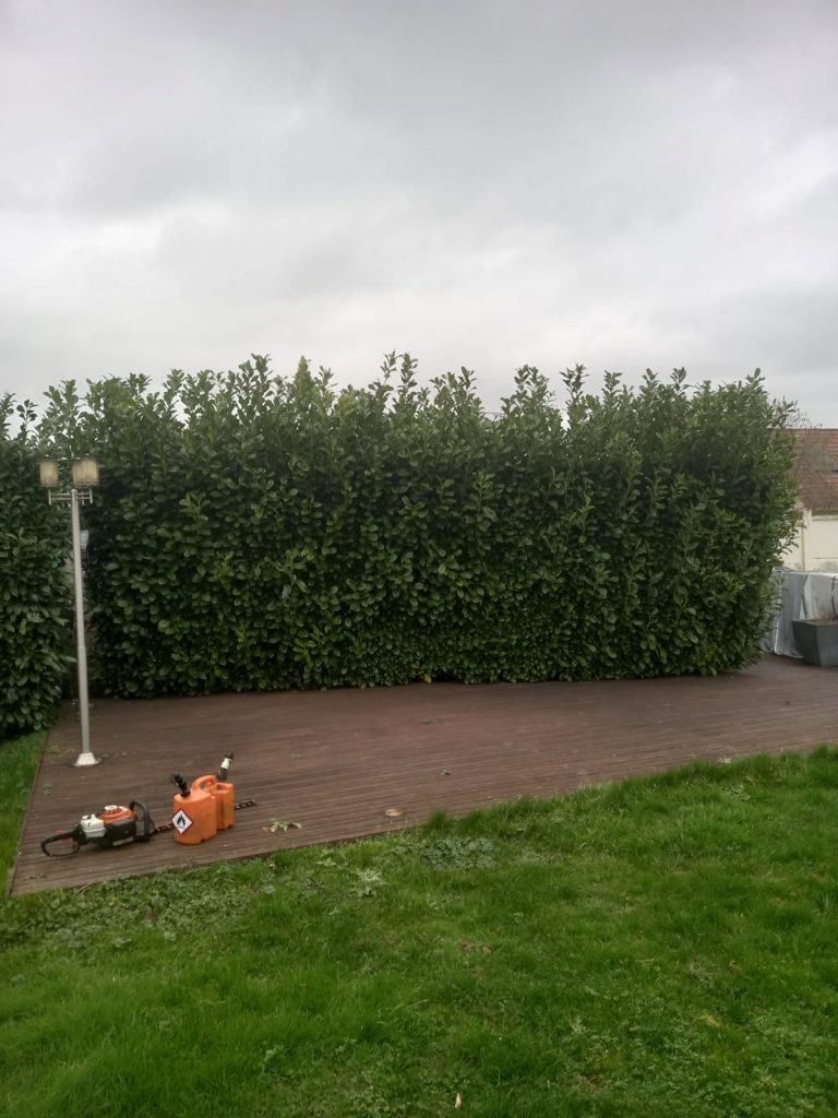 Élagage préservation rivières Saint-Lubin-des-Joncherets