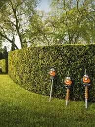 Les techniques utilisées pour l’élagage professionnel d’arbres à Châteaudun