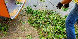 réduire vos déchets verts