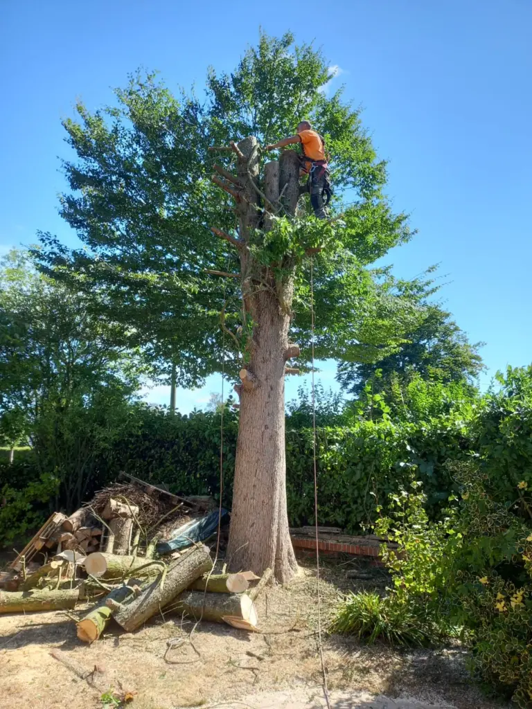 Comment choisir son paysagiste à Chartres ?