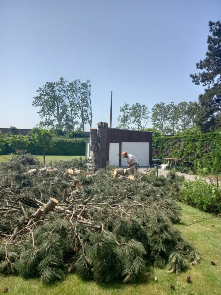 Élagage de précision autour des monuments historiques de Bonneval et de l'Eure-et-Loir. Diagnostic, respect du patrimoine, prévention des risques. Devis avec Steven Elagueur 28.
