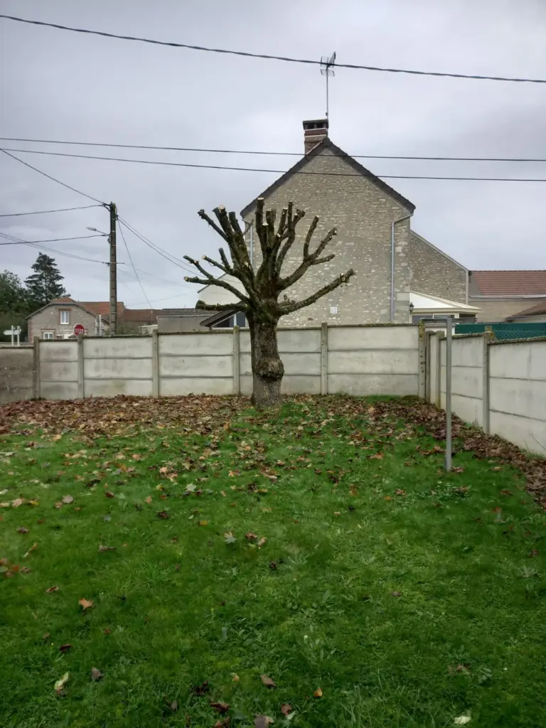 Élagage et abattage d'arbres à Chartres (28)