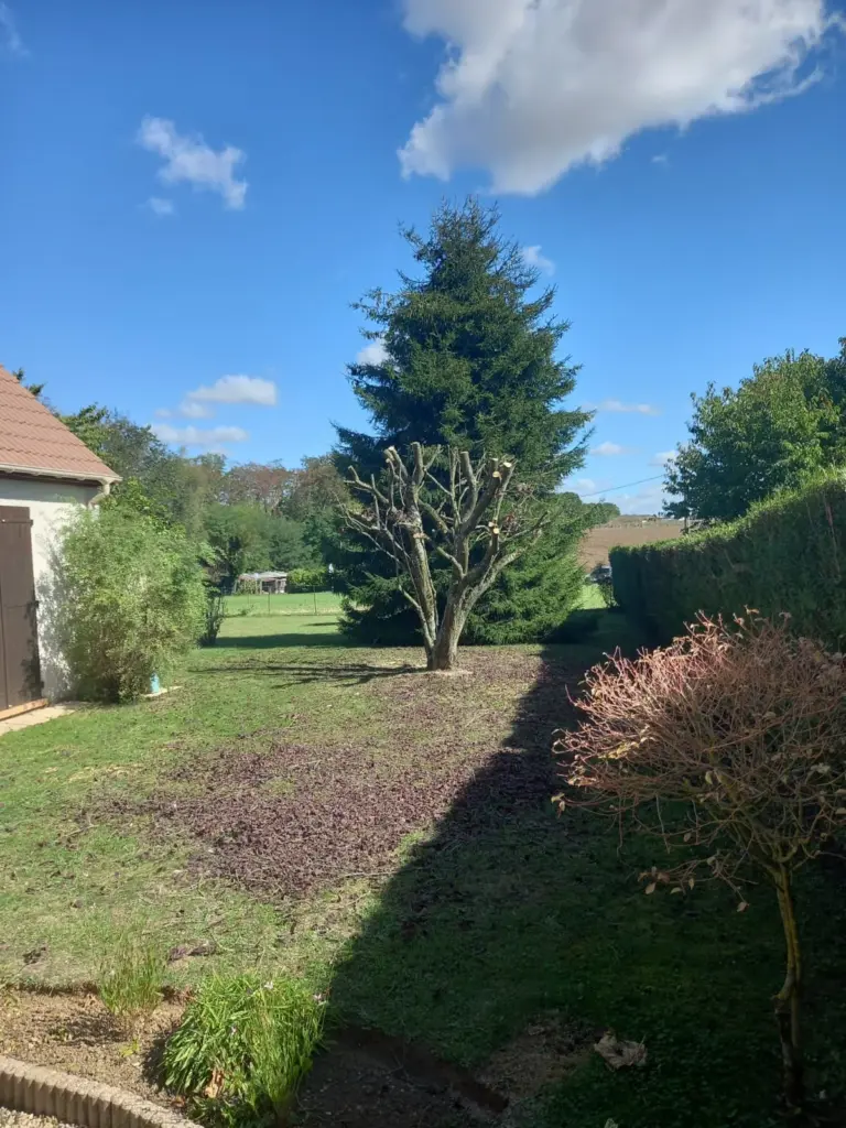 élagage abattage d'arbre dans la région 28