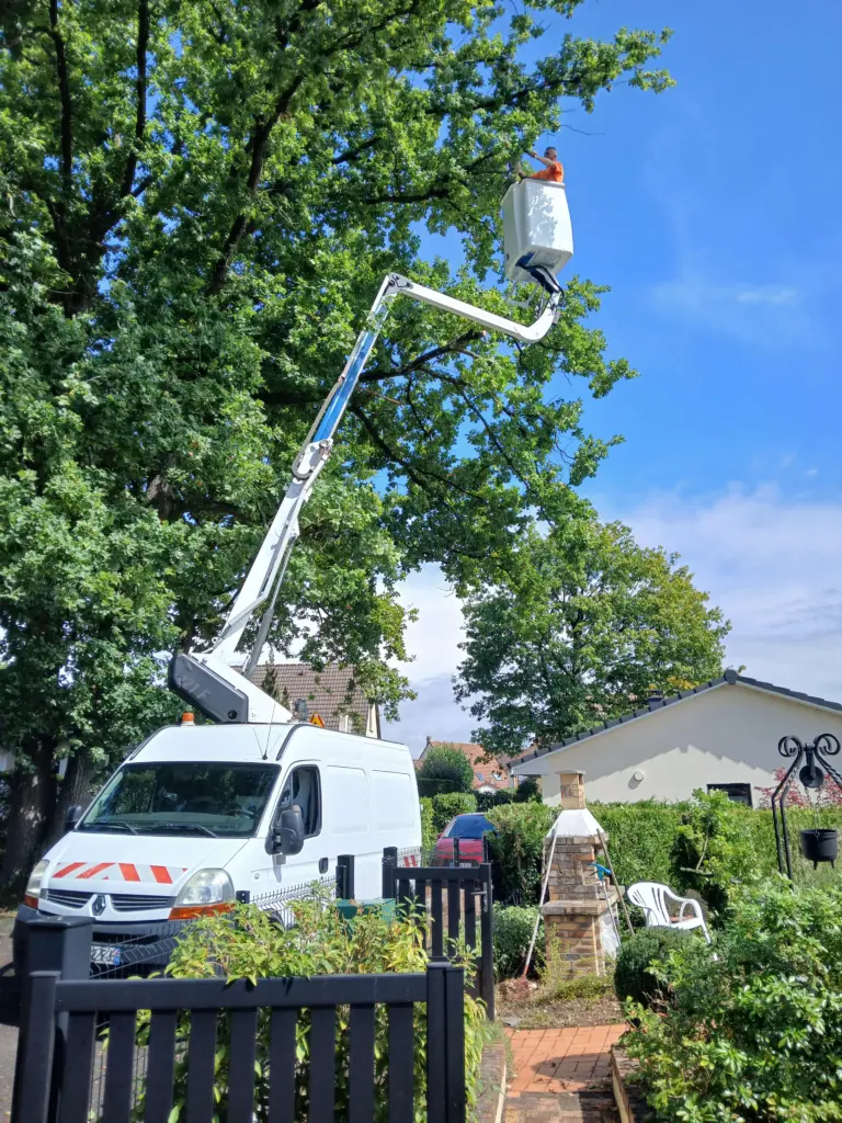 Un entretien global et régulier- tailles haies luisant