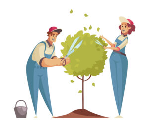 Gestion et évacuation des déchets verts-Pourquoi Choisir Steven Élagueur 28