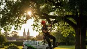 Taille douce à Chartres 28