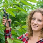 « Photo d'une artisane en train de réaliser l'élagage et l'abattage d'arbres à Chartres. »