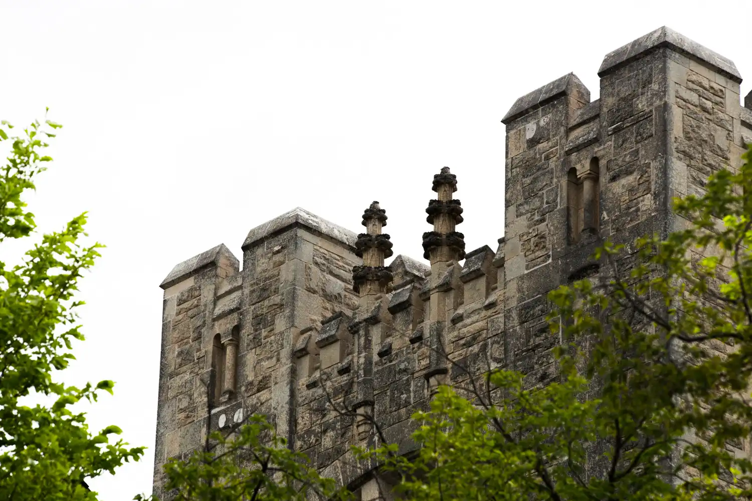 Travaux d'élagage sur un monument historique à Bonneval en Eure-et-Loir