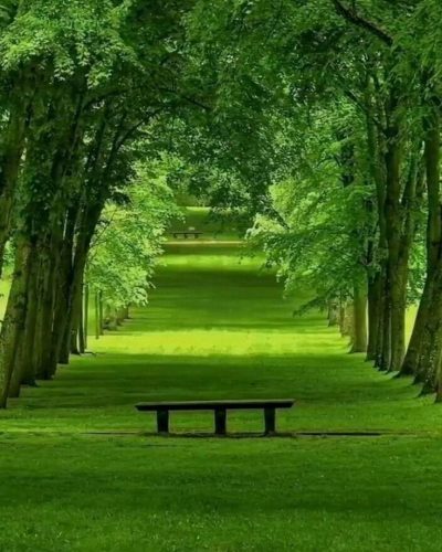 Création de jardins à Chartres (28)