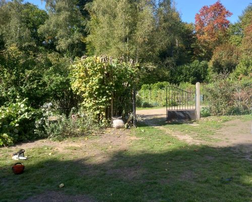 Taille d'arbres fruitiers dans le 28