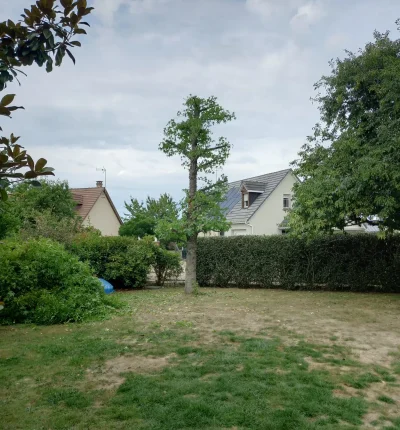 Abattage d’arbres Brou