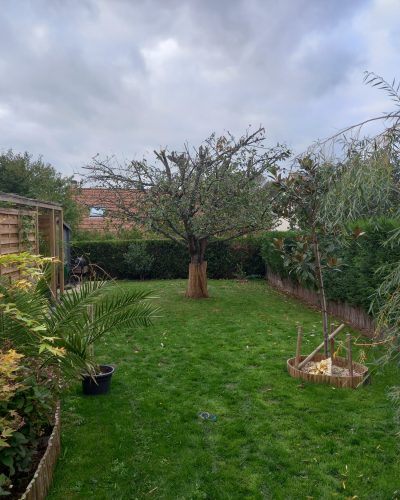 Taille d'arbre fruitiers Élagueur 28