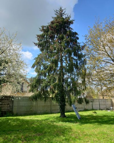 PHOTO-2024-09-06-16-01-56 2