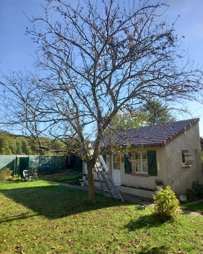 protection des arbres Nogent-le-Rotrou