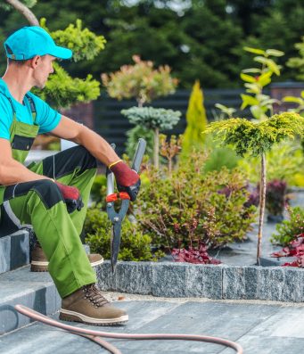 echniques et bonnes pratiques pour un élagage efficace à Saint-Rémy-sur-Avre